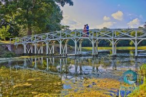 Indian wedding photographer London